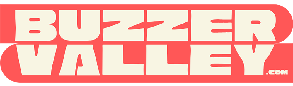 Logo BuzzerValley